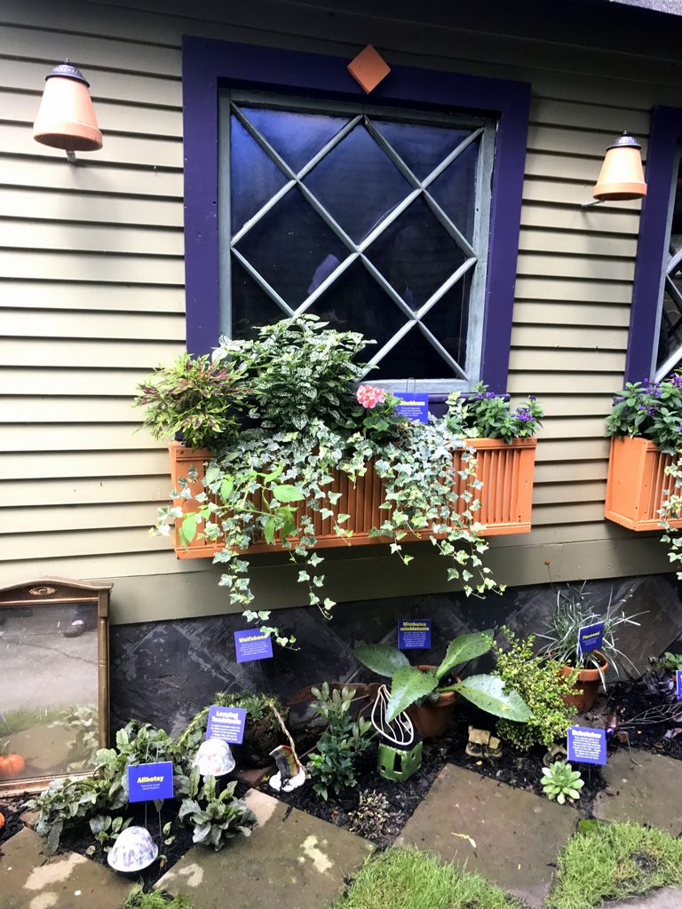 Harry_Potter_Garden_Charlier_Buffalo_Garden_Walk_GWA_2017002 Desert