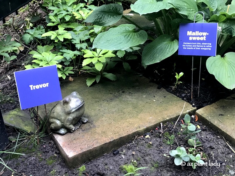 Harry Potter Garden Travels
Neville's pet toad 'Trevor.'