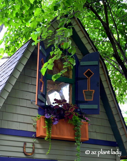 Harry_Potter_Garden_Charlier_Buffalo_Garden_Walk_GWA_2017013 Desert