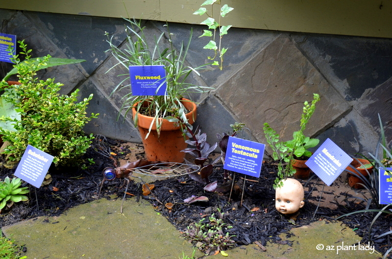 Garden Travels A Visit Through the Pages of Harry Potter