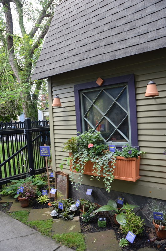 Harry_Potter_Garden_Charlier_Buffalo_Garden_Walk_GWA_2017015 Desert