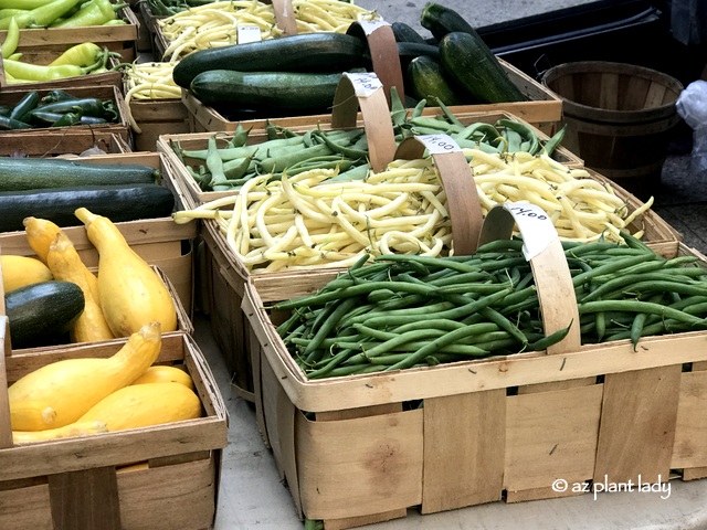 Buffalo Vegetable Garden Travel