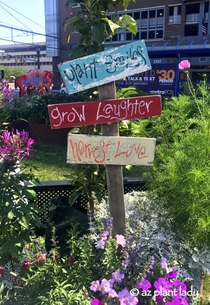 garden_sign_urban_edible_community_garden_Buffalo