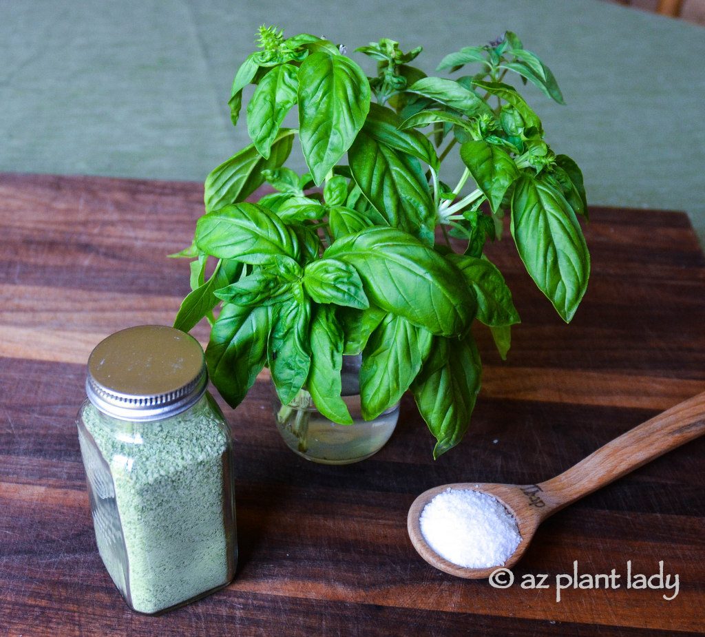 preserving herbs 