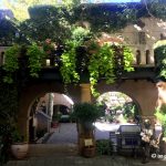 Sweet_Potato_Vine_Containers_Tlaquepaque