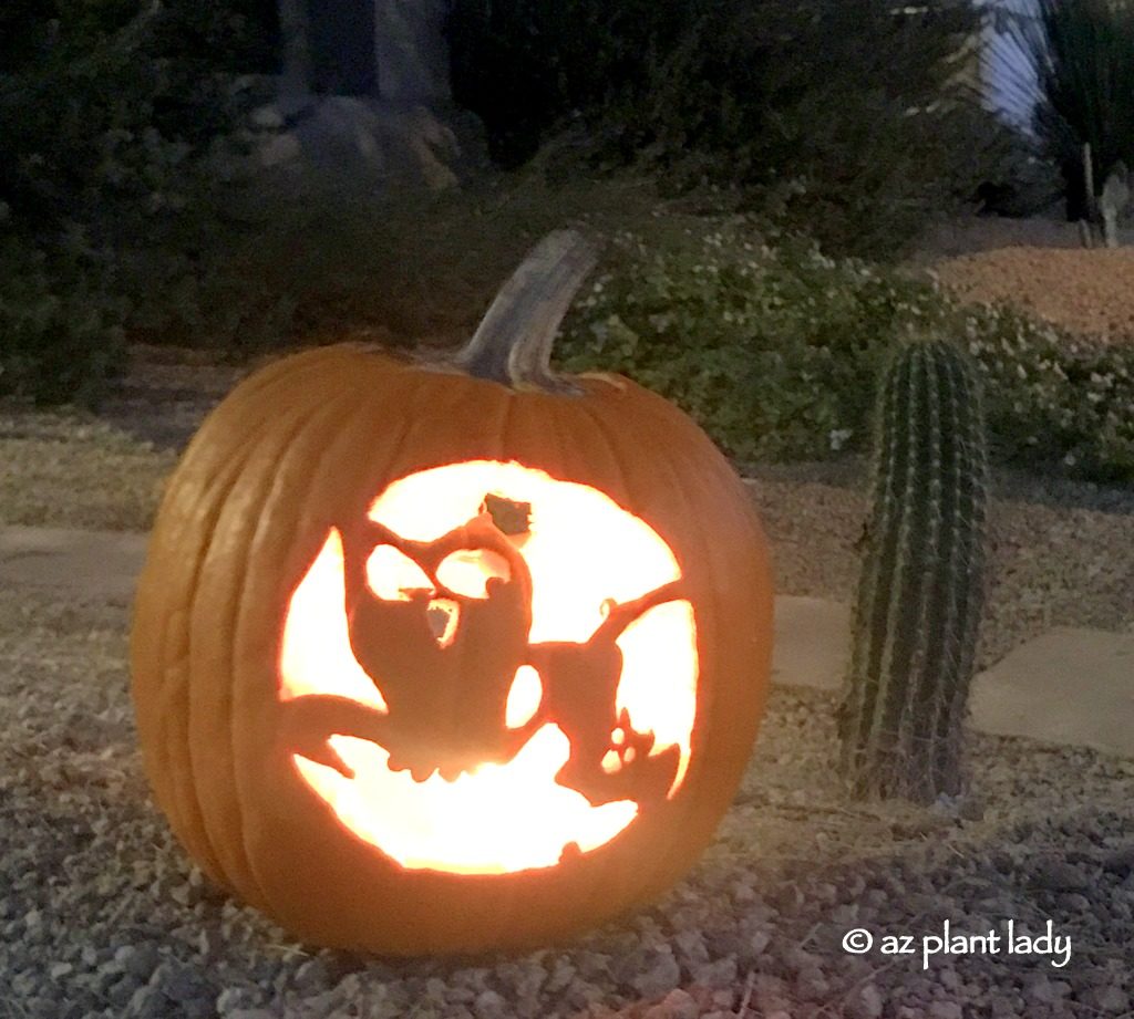 carved pumpkins 