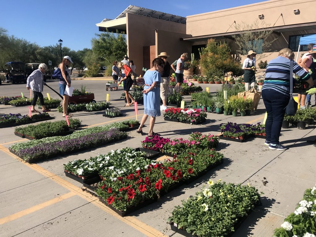 local plant sales