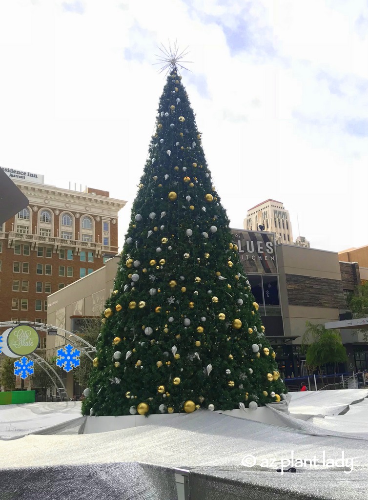 holiday season trees and balls