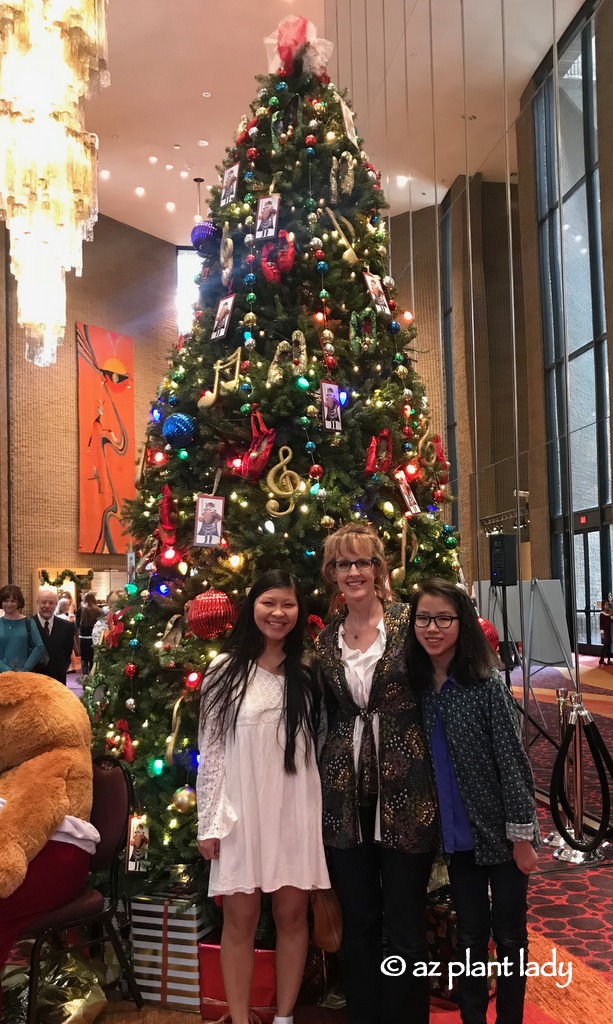 inside the Phoenix Symphony Hall at Christmas