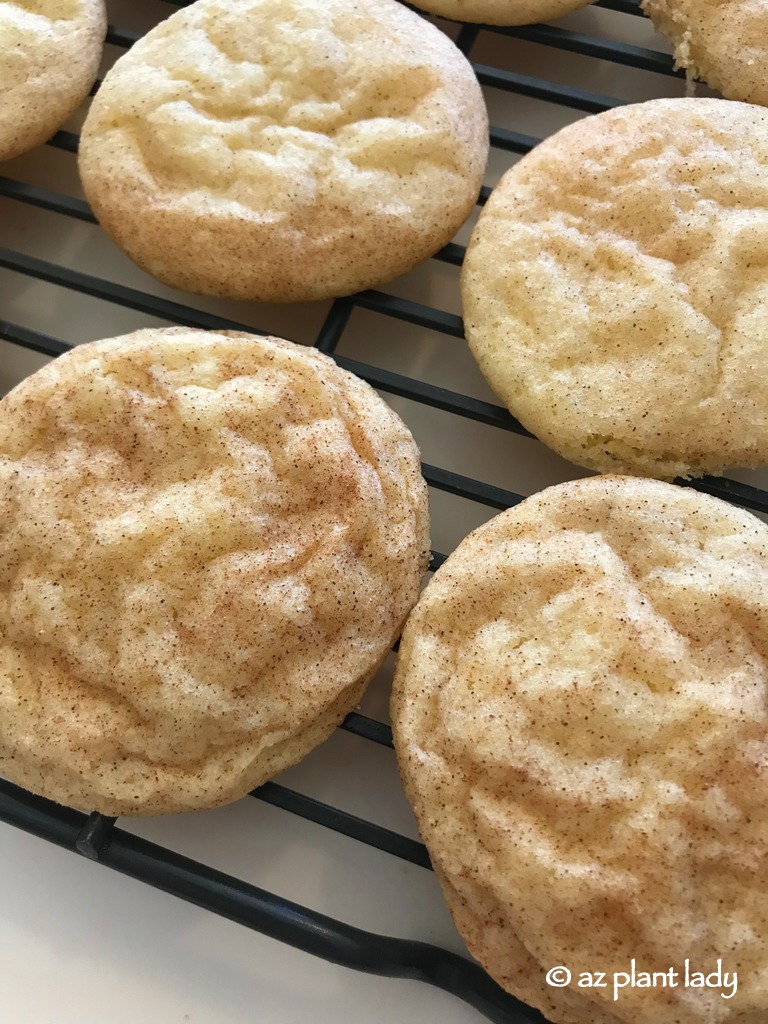 snickerdoodle cookies