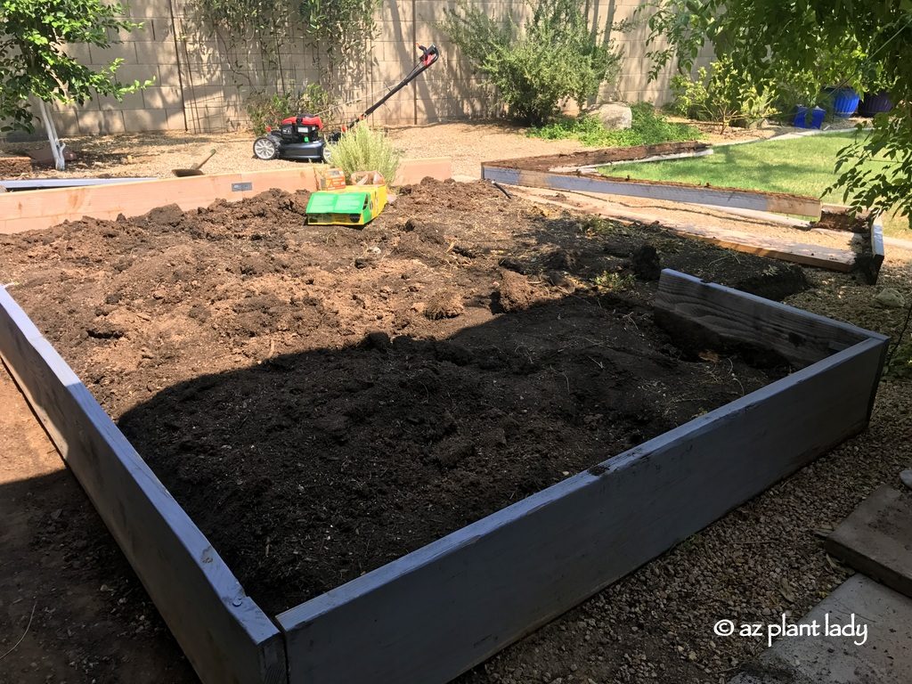 Amending the soil in the raised garden beds