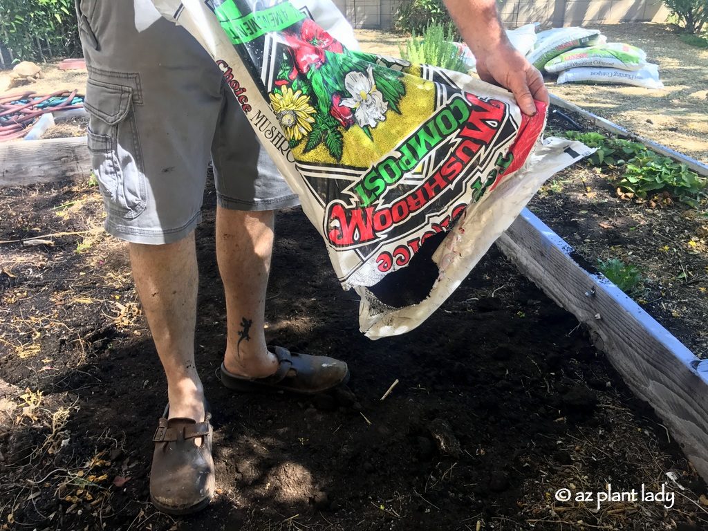 Adding mushroom compost to the garden