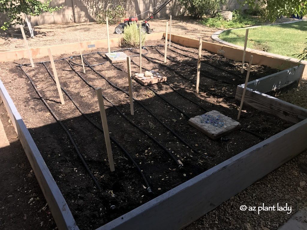 Winter Vegetable Garden irrigation