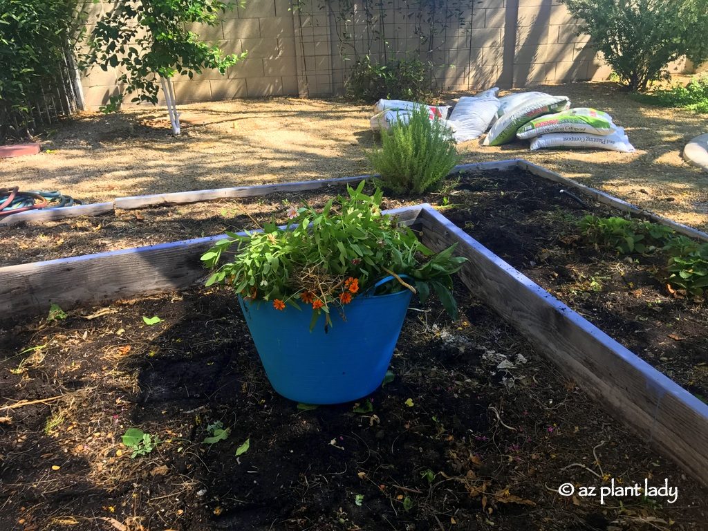 Cleaning up raised garden beds