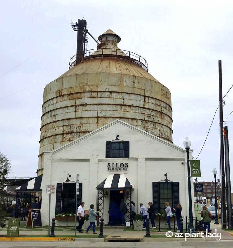 Green Spaces of the Magnolia Silos