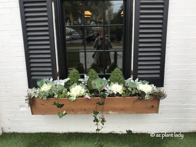 fresh vegetable sin window boxes at the Magnolia Silos