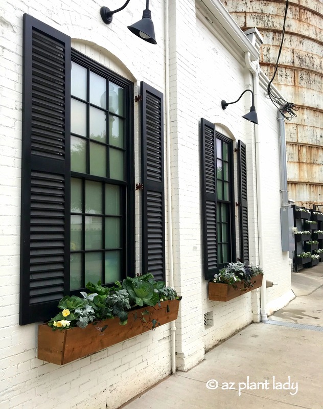 window boxes at the Magnolia Silos