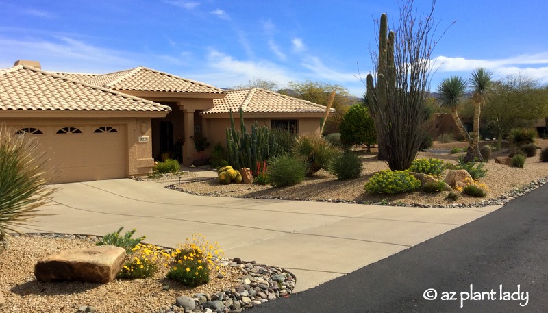 Arizona Landscape Transformation at the front of a house