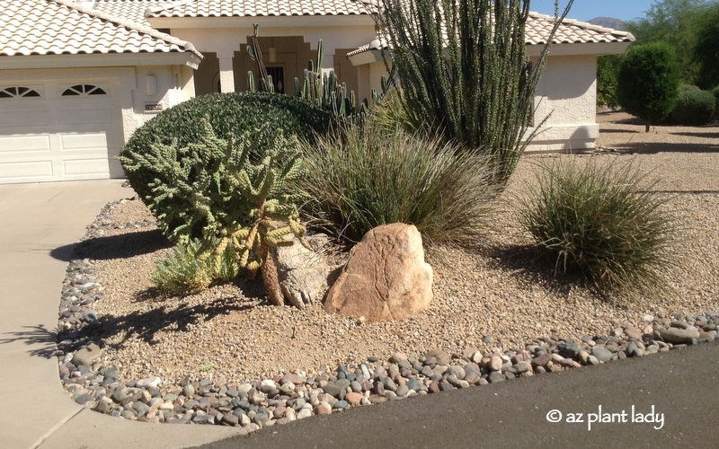 BEFORE - Corner of Driveway