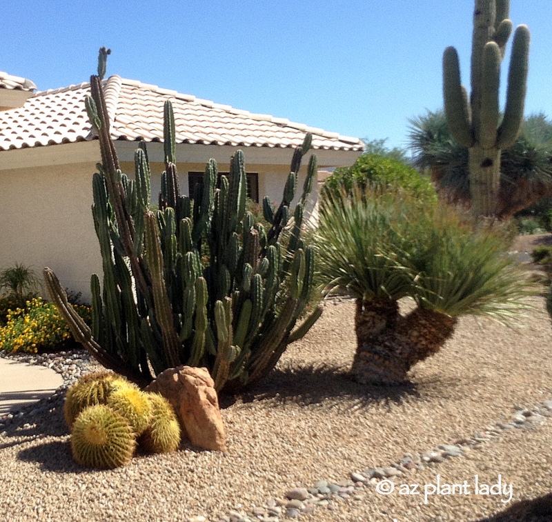 BEFORE (Landscape Transformation)