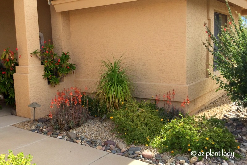 Landscape Transformation by the front door