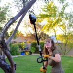 azplantlady_pruning