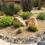 Landscape Transformation: Drab to Colorful