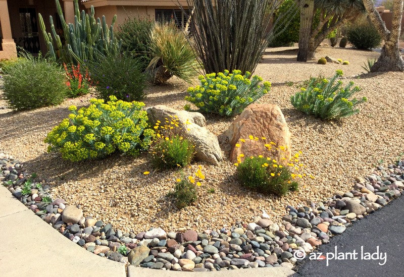 Landscape Transformation: Drab to Colorful