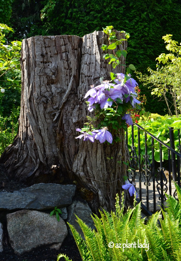 Butchart Gardens, in British Columbia, Canada