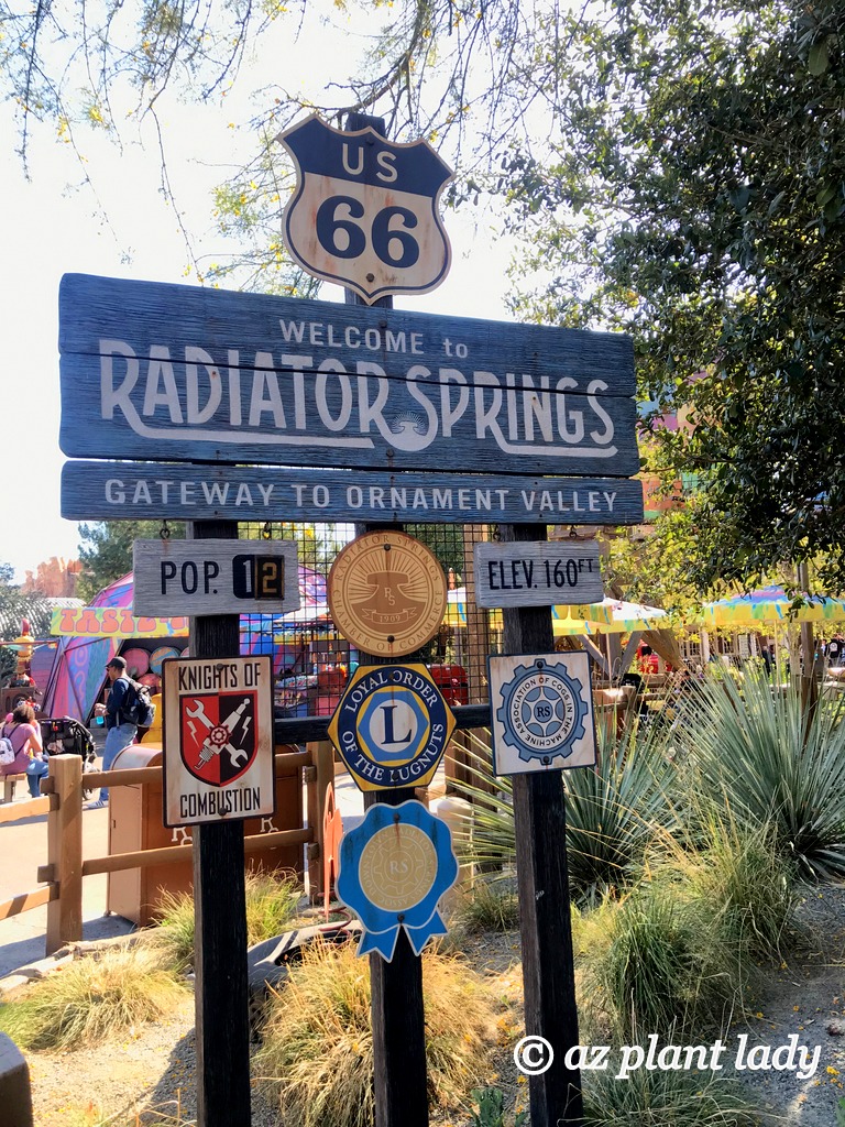 Radiator Springs