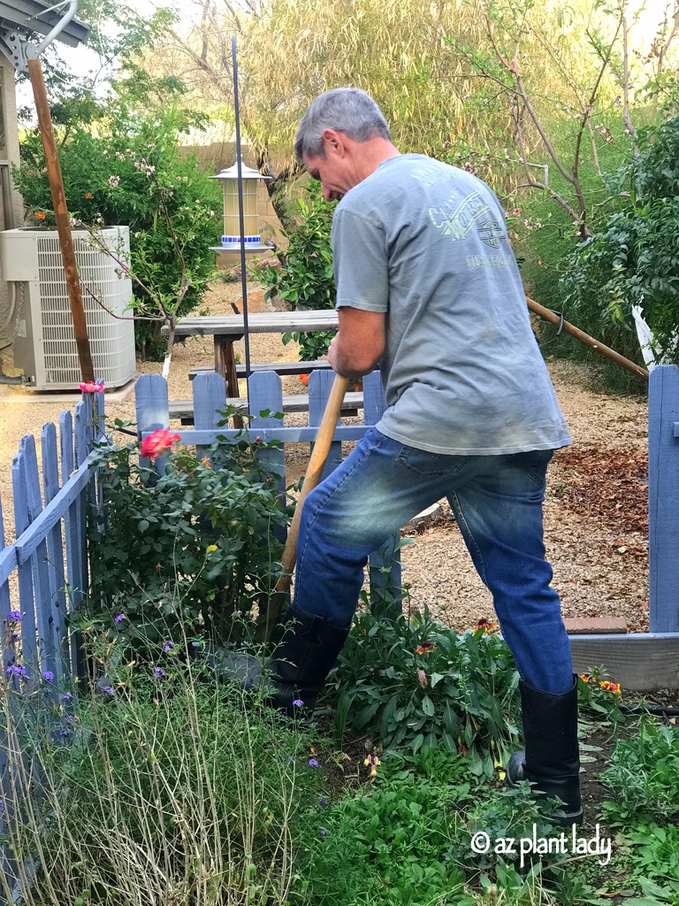 A man digging int he garden