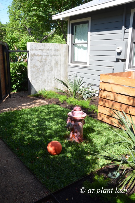 Low-Maintenance Garden fire hydrant for a dog