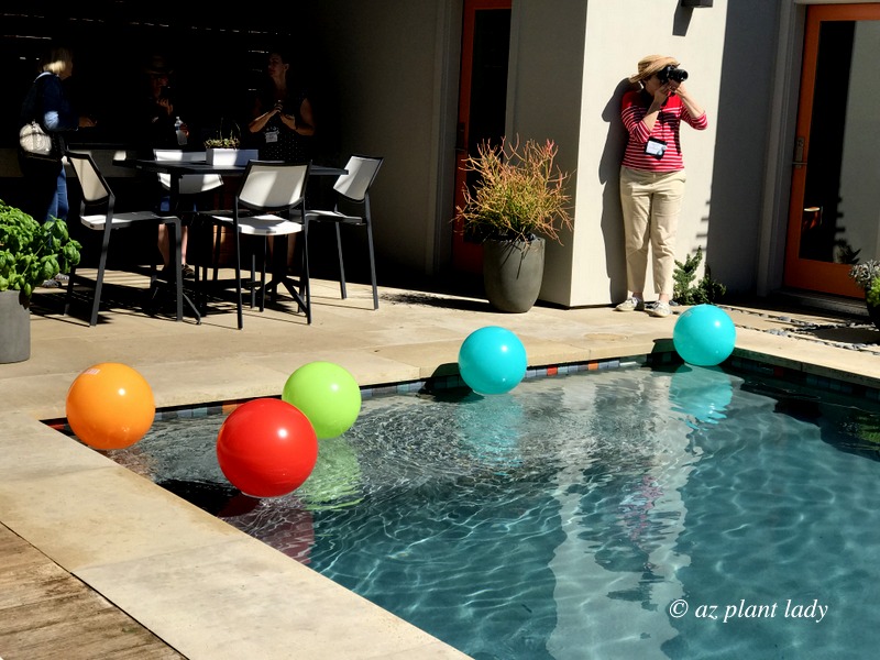 rectangular pool with balls floating