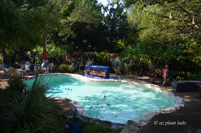 Austin TX shady colorful garden swimming pool