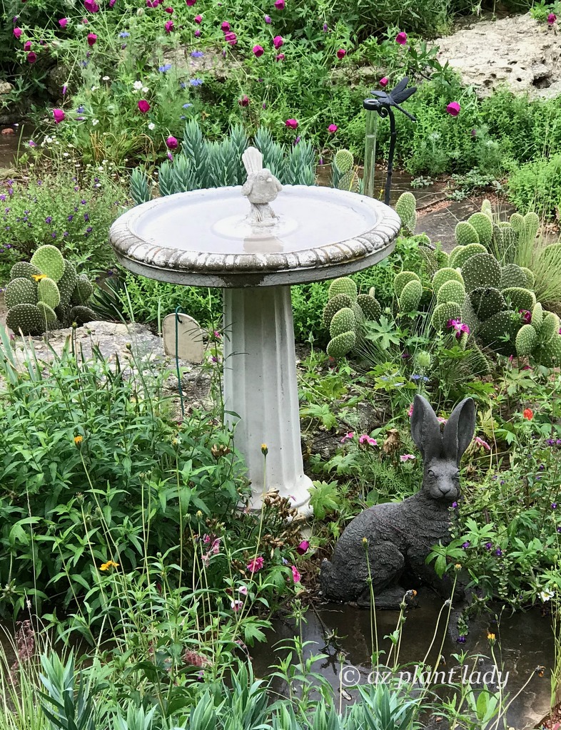 English garden bird bath in Texas