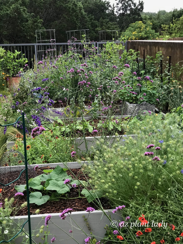 An English Garden with raised beds