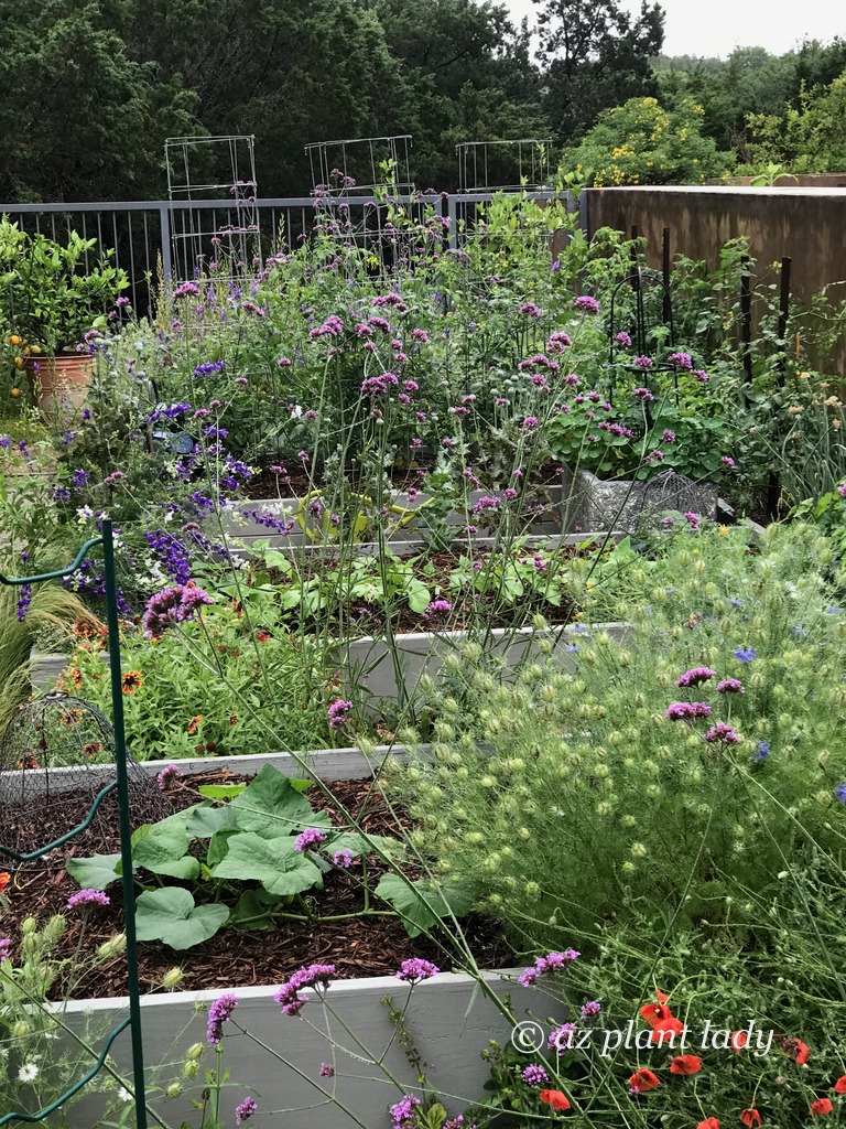 An English Garden With Texas Flair