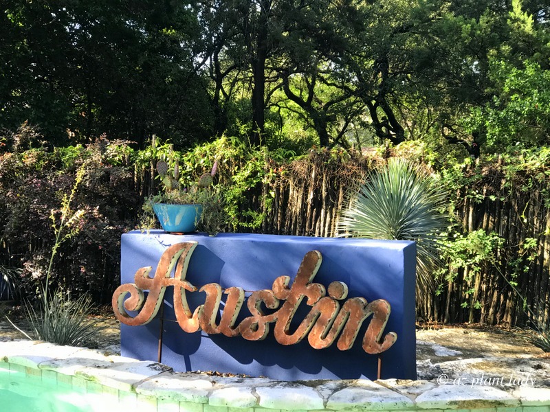 Texas capital Austin sign in front of a blue wall