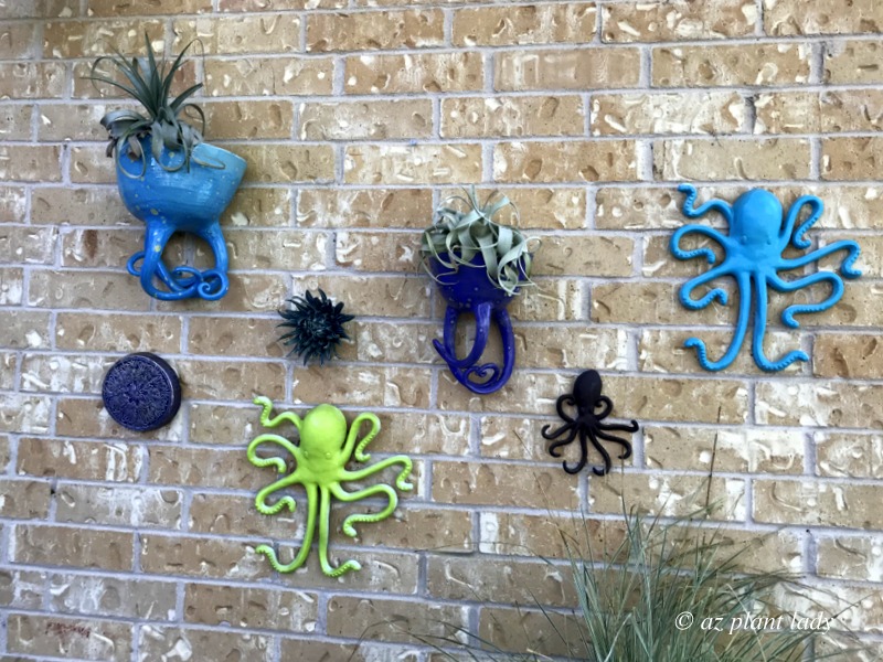 Octopus planters and octopus garden art