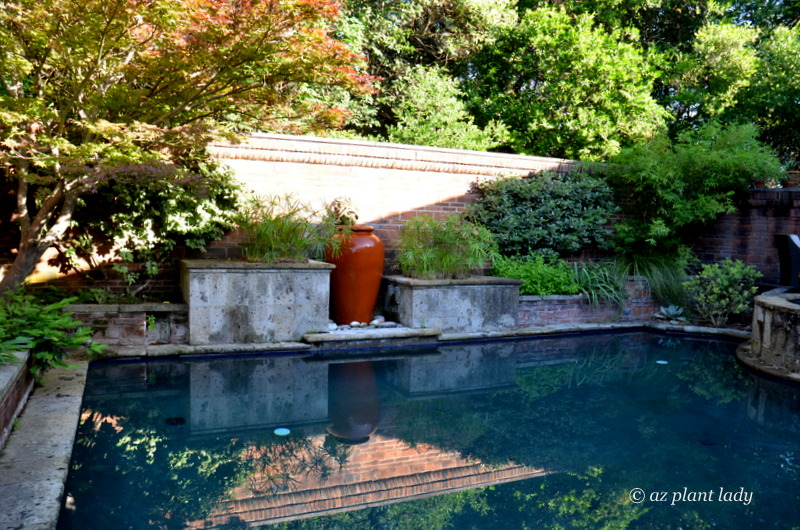 A large colorful, container is the focal point behind a swimming pool. Pots don't need to have plants inside them to add beauty to the garden. Pots can serve as a decorative outdoor element.  Southwest garden style