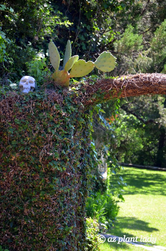 Keeping with the "keep Austin weird" campaign, a garden doorway is graces with a skull and a prickly pear cactus.  Southwest garden style