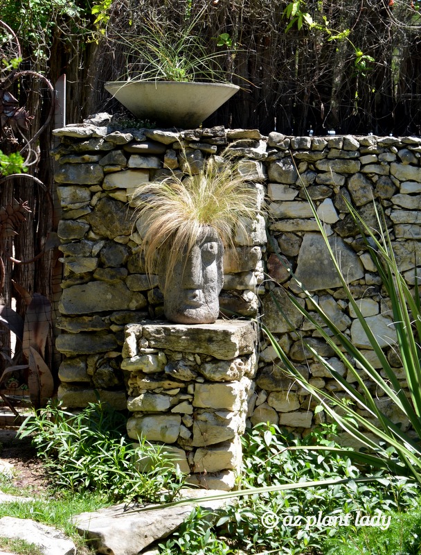 A stone head spouts a full head of hair made from Mexican feather grass (Nassella tennuisma).  Southwest garden style