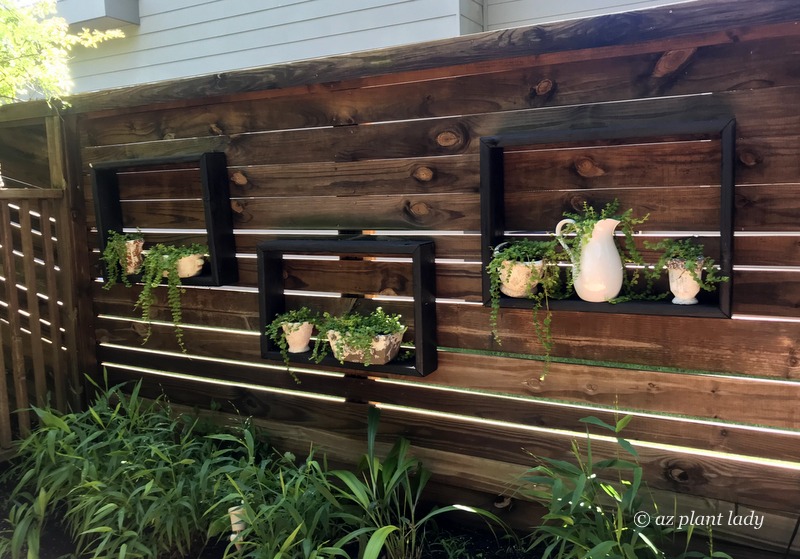 Wooden picture frames filled with live plants adorn a fence.  Southwest garden style