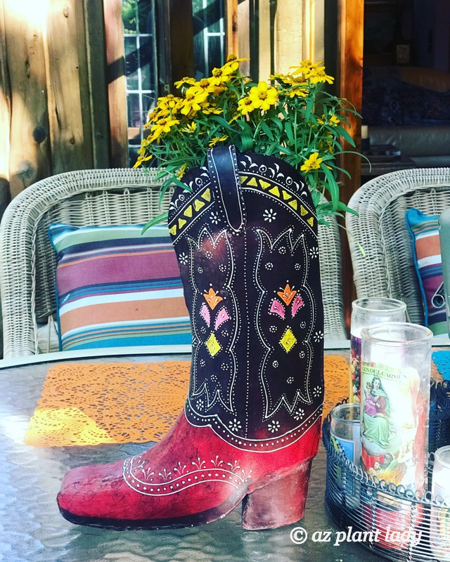 A boot planter adds a touch of whimsy to a patio table.