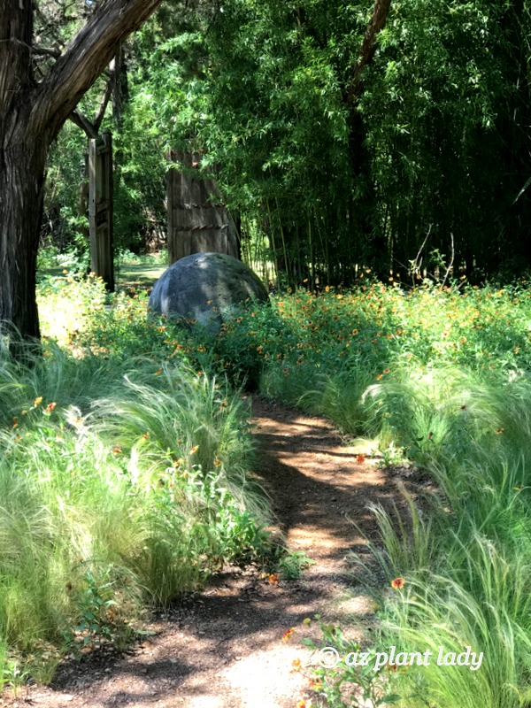 A curved garden path leads visitors on a journey of discovery with large concrete balls dotting the way.  Southwest garden style