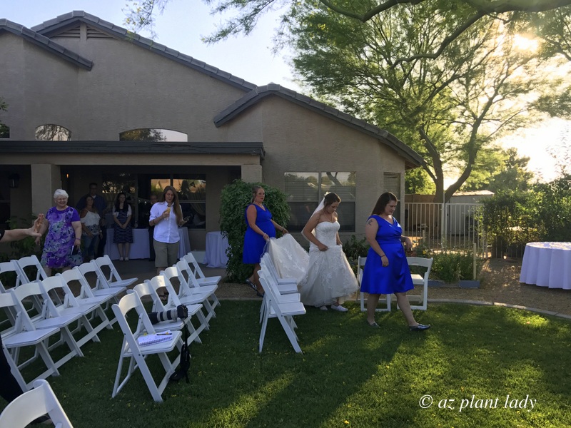 I realize your focus may be on how pretty the bride is, but look at how good my grass looks ;-)