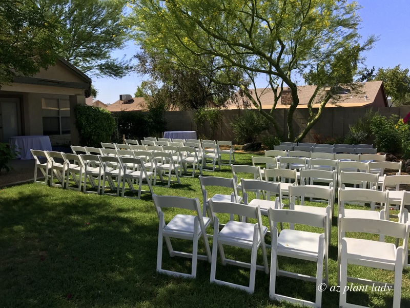 Wedding seating in the garden