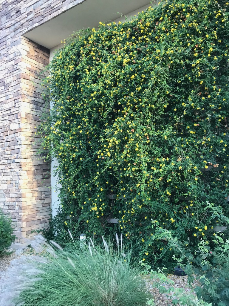 A WellDesigned Natural Landscape in an Unusual Place