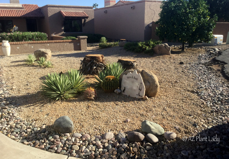 Curb appeal in the desert 
