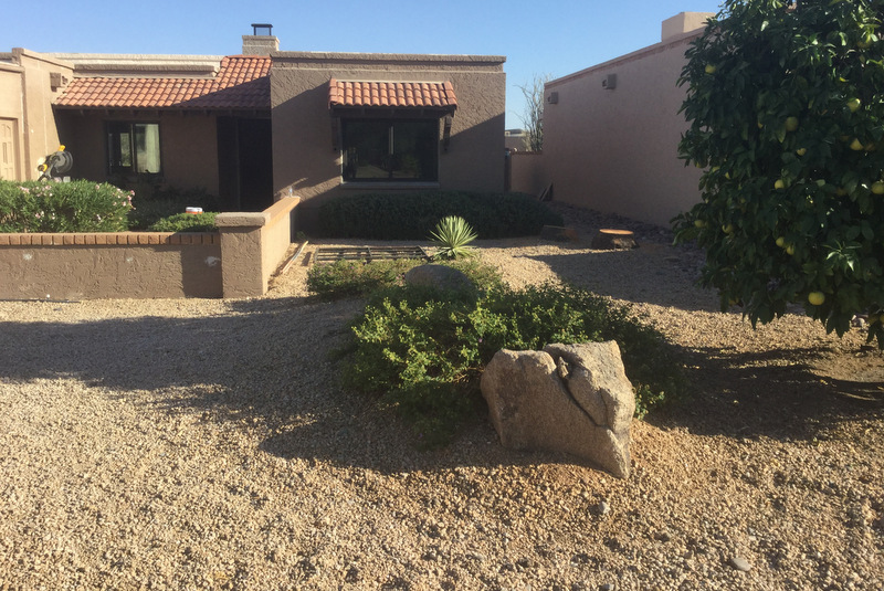 Desert Landscape Renovation